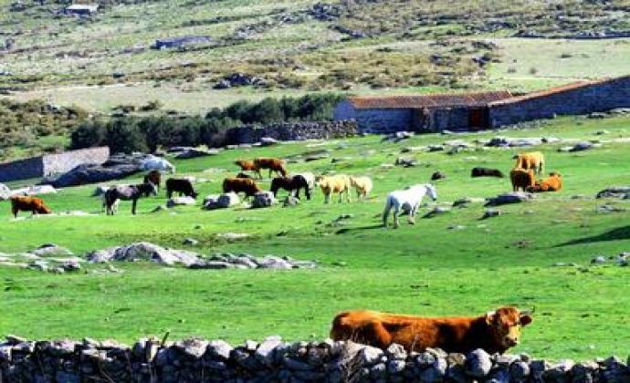 Rancher’s Reserve